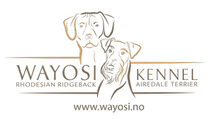 Kennel Wayosi Logo